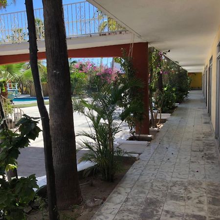 Hotel Calafia La Paz Exterior foto